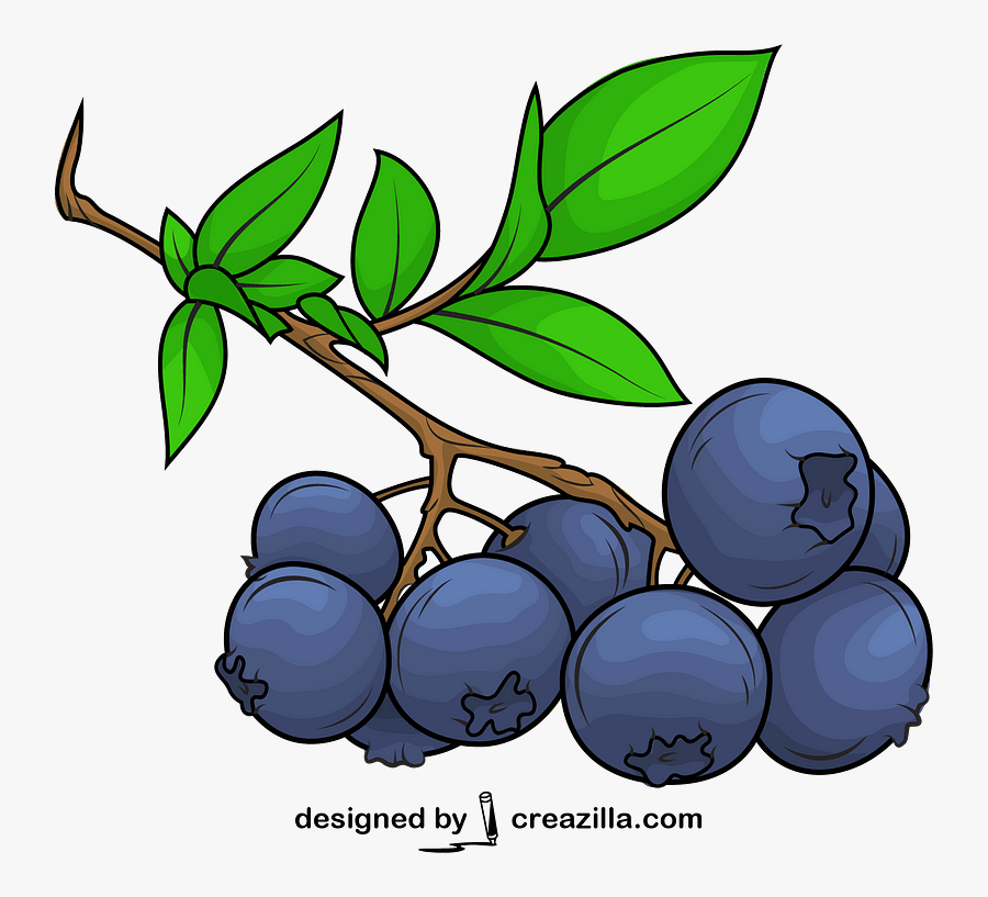 Seedless Fruit, Transparent Clipart