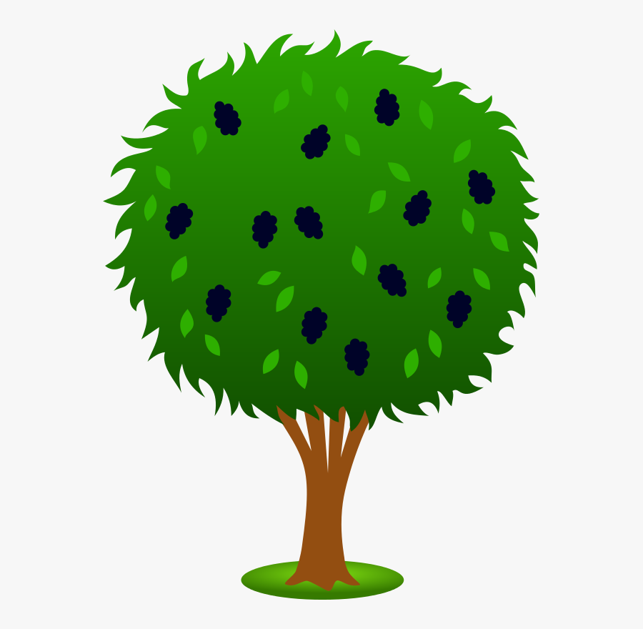 Mulberry Blueberry Plant Clipart - Clip Art Orange Tree, Transparent Clipart