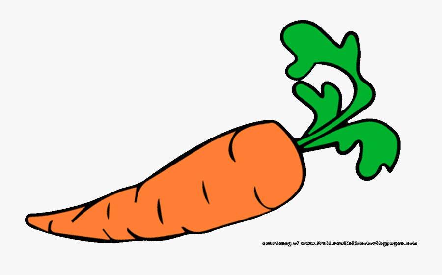 Hd Fruit Name Transparent - Carrot Clipart, Transparent Clipart