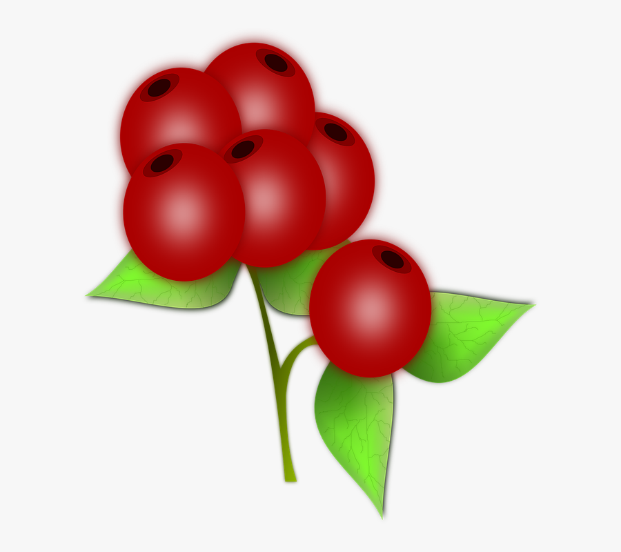 Plant,flower,food - Red Berry Clipart, Transparent Clipart