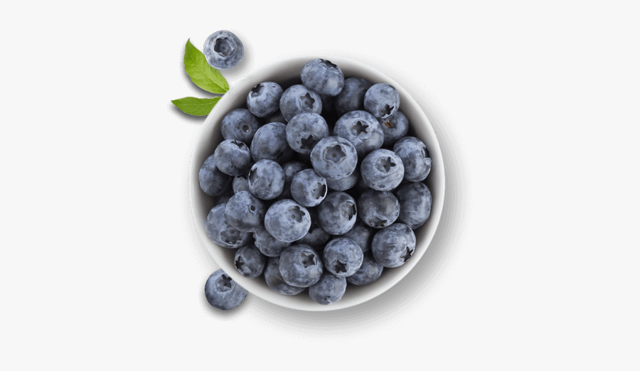 Clip Art Only The Finest Berries - Transparent Bowl Of Blueberries, Transparent Clipart
