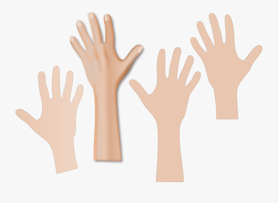 Collection Of Skin - World Hand Hygiene Day 2019, Transparent Clipart