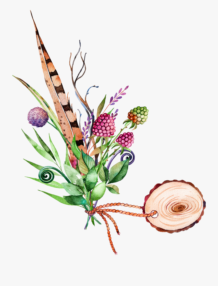 Collection Of Free Botanical Drawing Indian Paintbrush - Watercolor Painting, Transparent Clipart