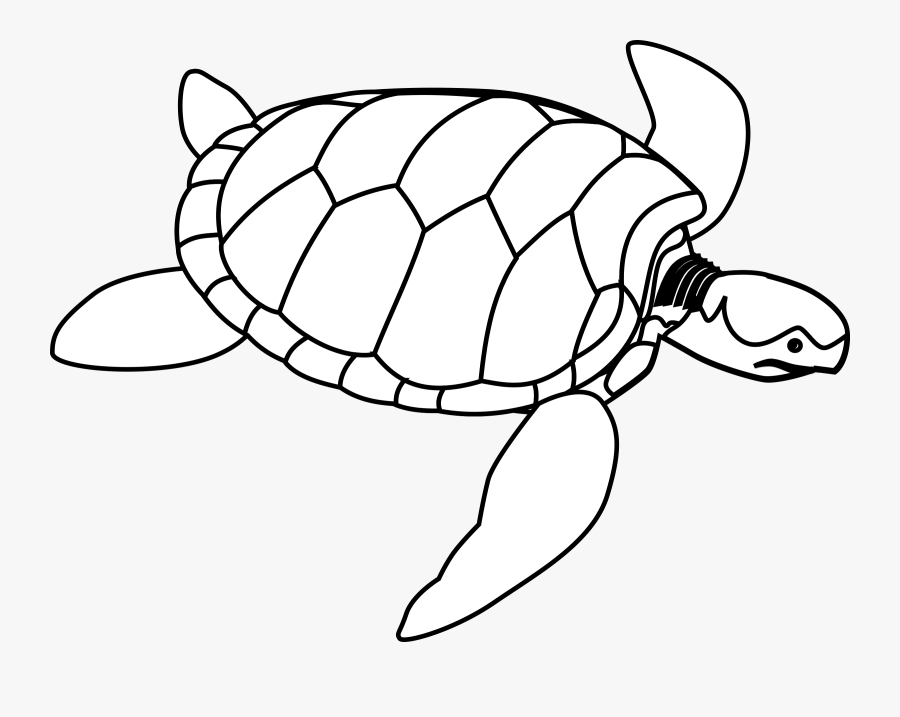 Sea Clipart Cretures - Water Animals Black And White, Transparent Clipart