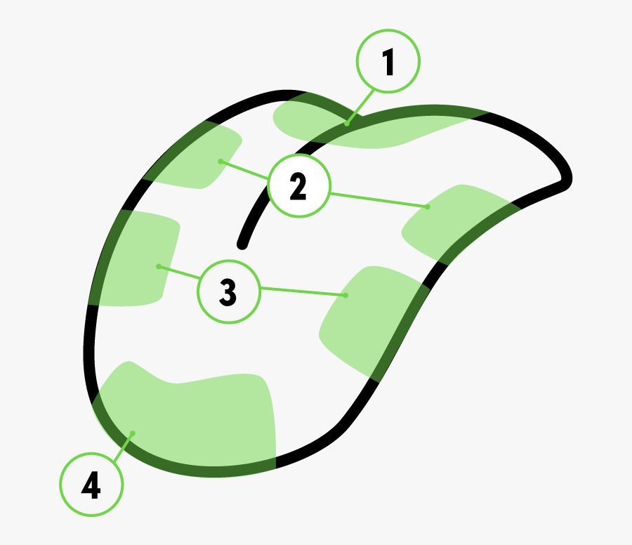 Long Story Short, The Tongue Perceives Flavour As A, Transparent Clipart