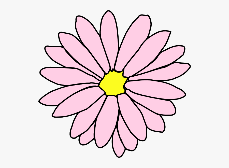 Transparent Pink Daisy Clipart - Black And White Daisy Flower Clipart, Transparent Clipart