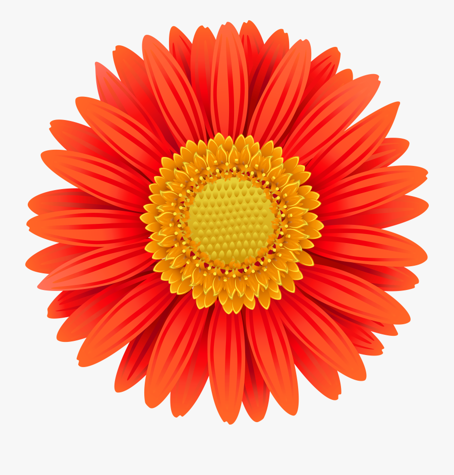 Marigold Clipart Fiesta Flower - Transparent Red Flower Clipart, Transparent Clipart