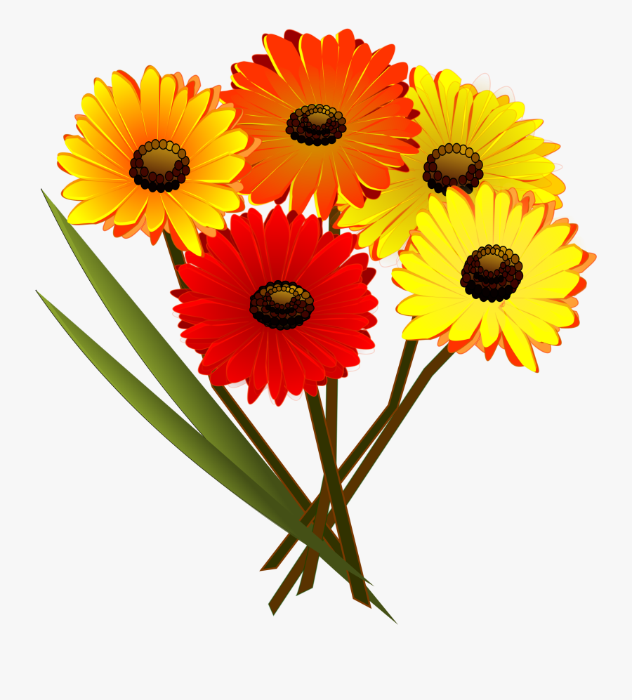 Daisy Clipart Flower Bunch - Clipart Bunch Of Flowers, Transparent Clipart
