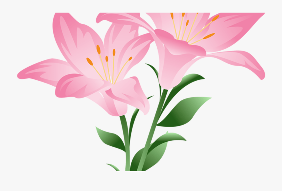 Daisy Clipart Living Thing, Daisy Living Thing Transparent - Lily Flower Cartoon Png, Transparent Clipart