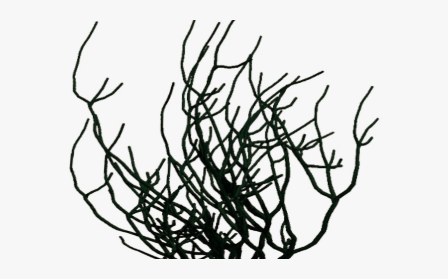 Transparent Silver Anniversary Clipart - Clip Art, Transparent Clipart