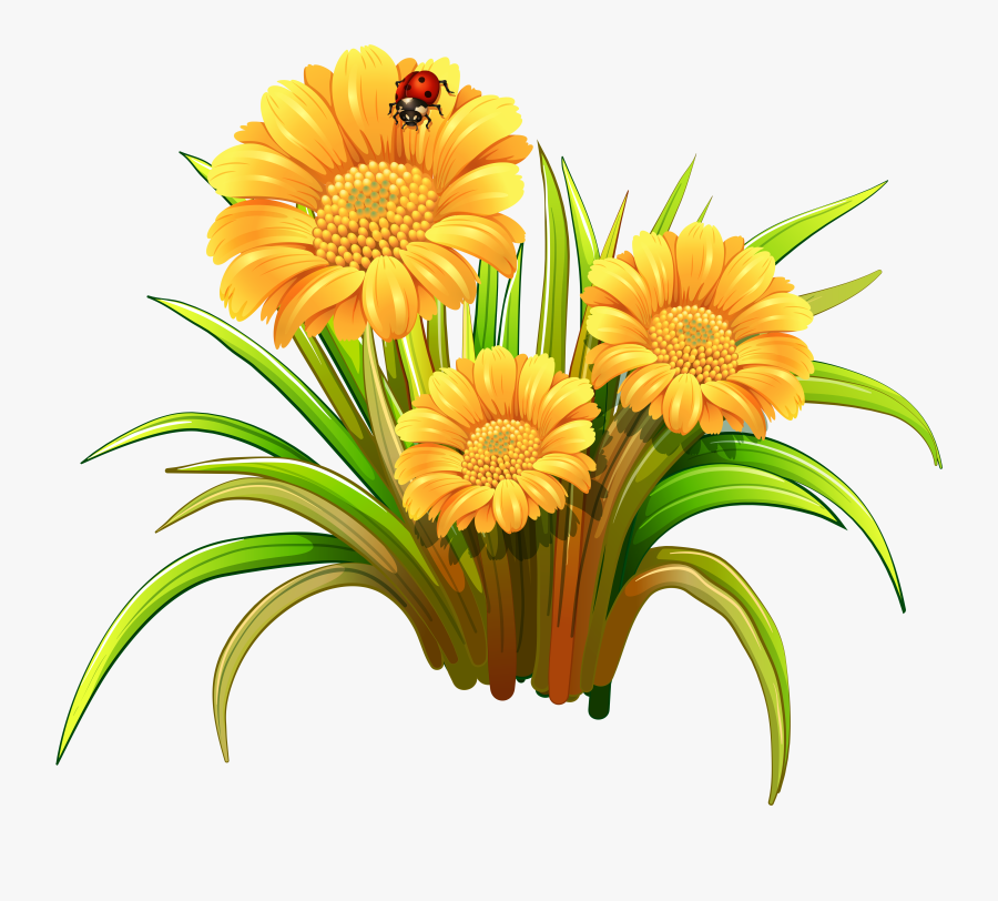 Coloring Book Art, Flower Art, Flower Clips, Daisy, - 3d Flower Clipart, Transparent Clipart