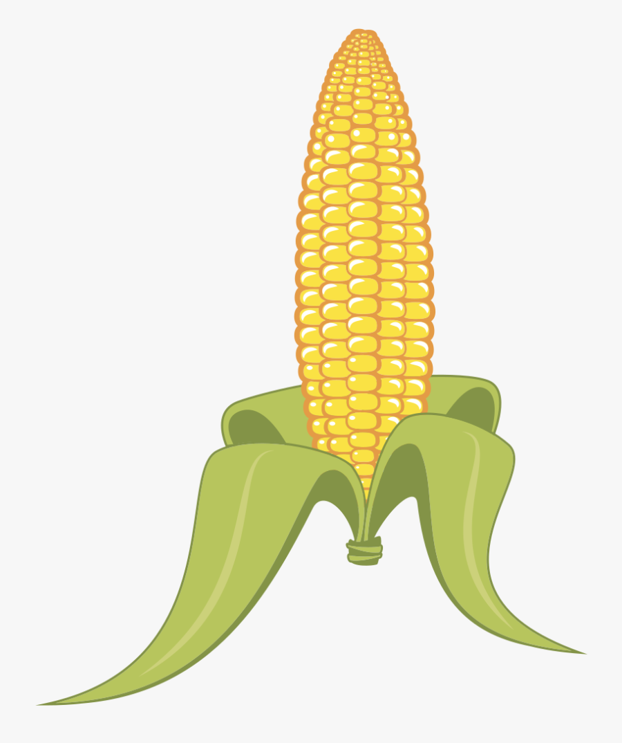 Corn - Corn On The Cob Clipart, Transparent Clipart
