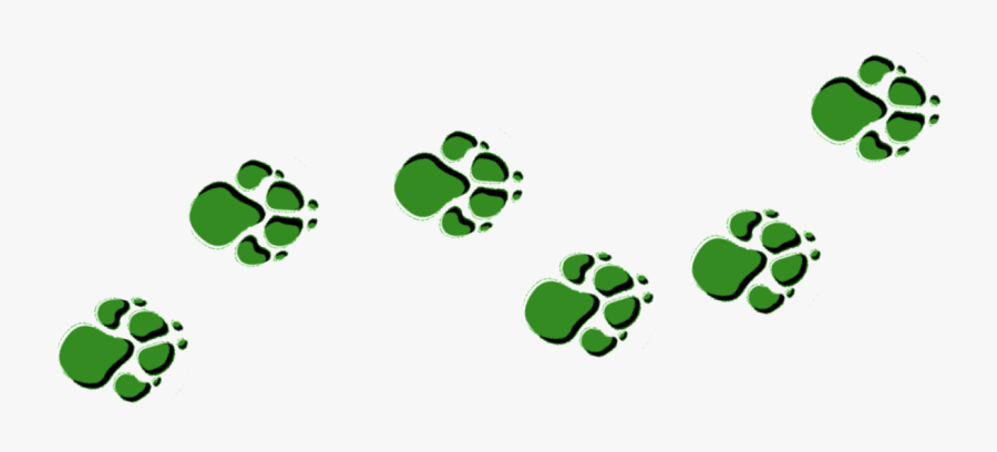 Clip Art Cub Paw Prints - Green Paw Prints Png, Transparent Clipart