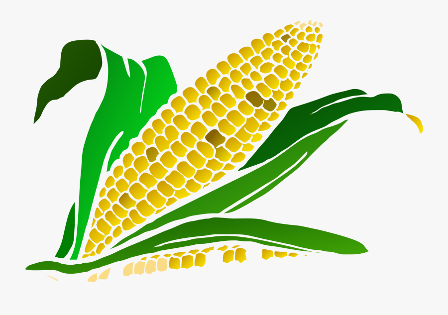Corn Clipart Corn Plant - Corn Maze Clip Art, Transparent Clipart