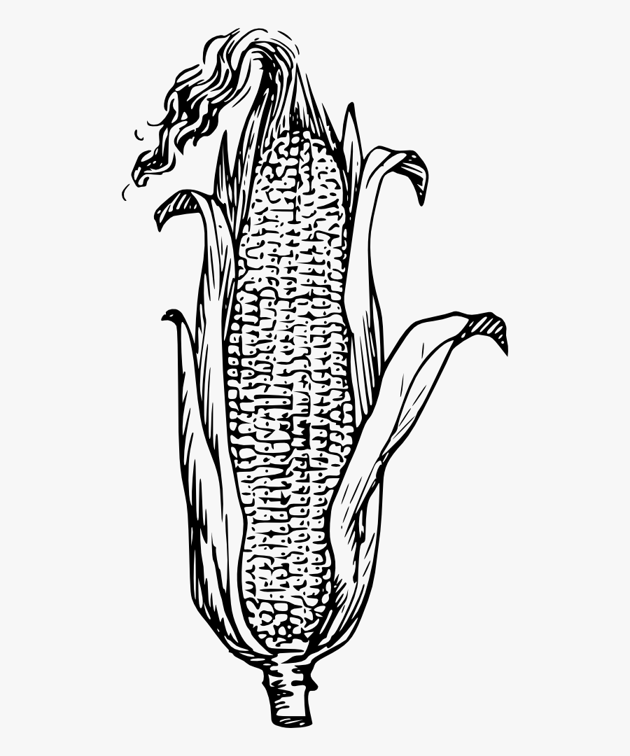 Free Clip Art "corn - Corn Clip Art, Transparent Clipart