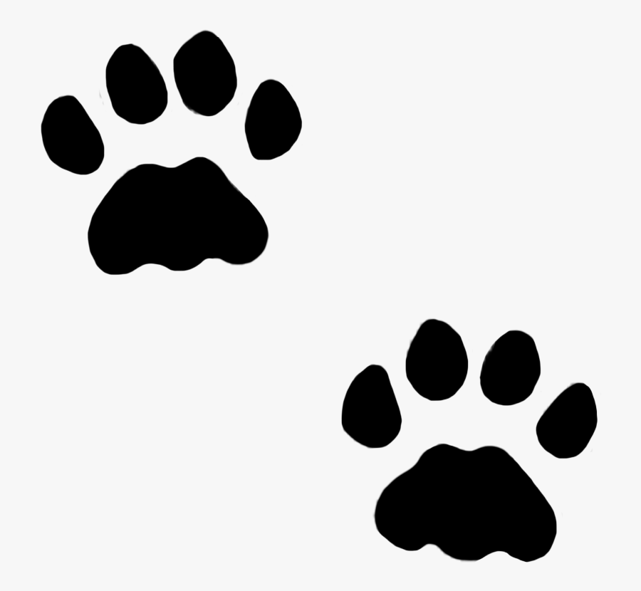 Dog Paws, Cat Paws In Snow, Cat Paw Prints, Transparent Clipart