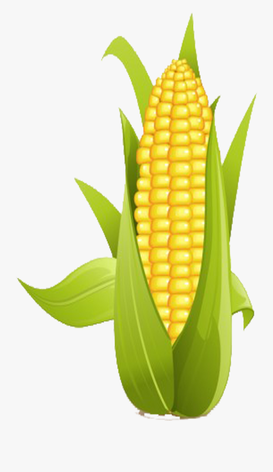On The Cob Sweet - Sweetcorn Clipart, Transparent Clipart