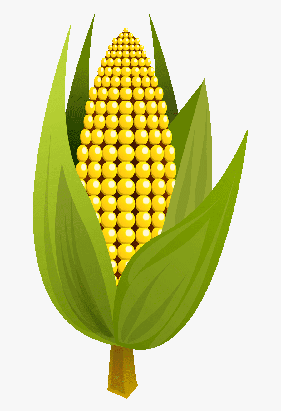 Transparent Corn Clipart Png - Rice And Corn Logo, Transparent Clipart
