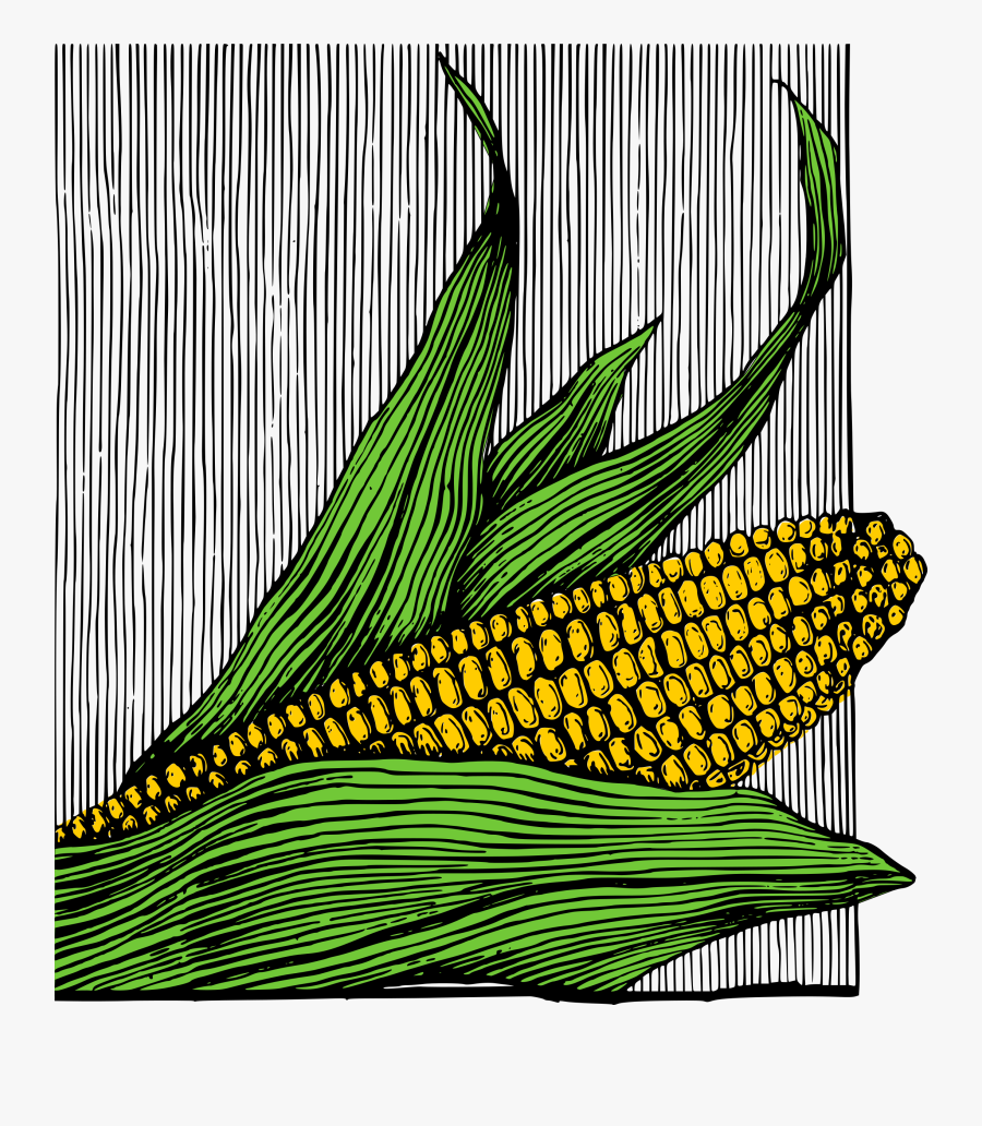 Corn On The Cob - Ilustraciones Maiz, Transparent Clipart