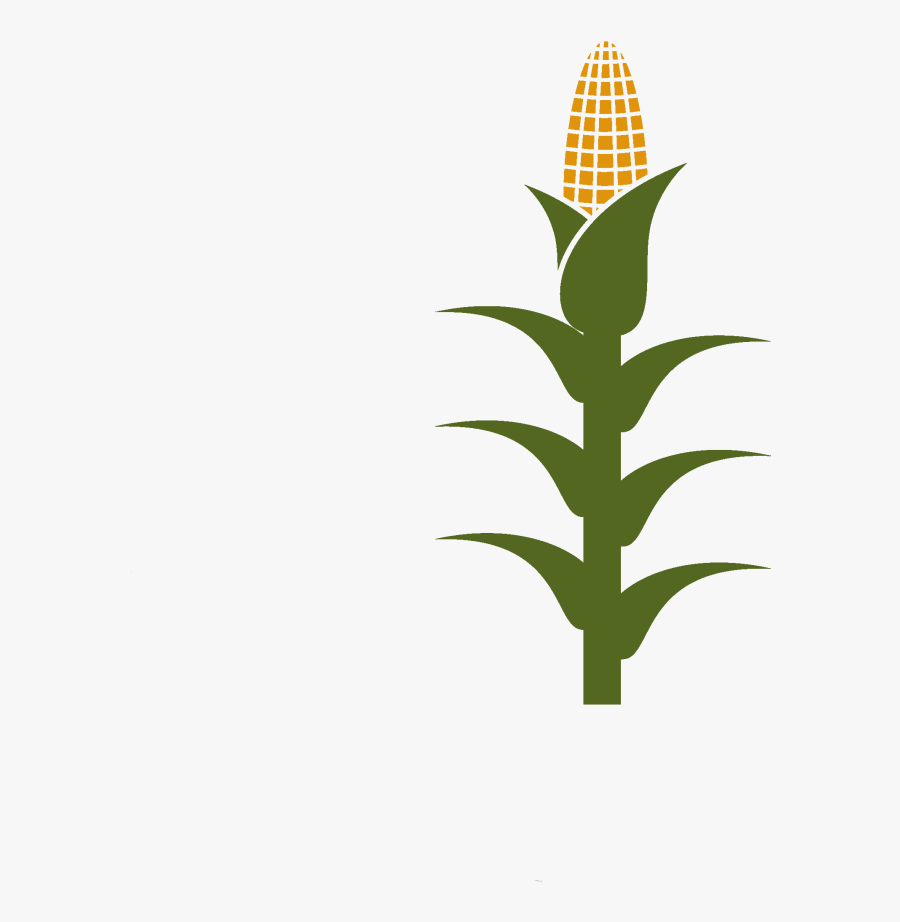 Corn Stalk Clipart , Png Download - Corn Stalk Clipart, Transparent Clipart