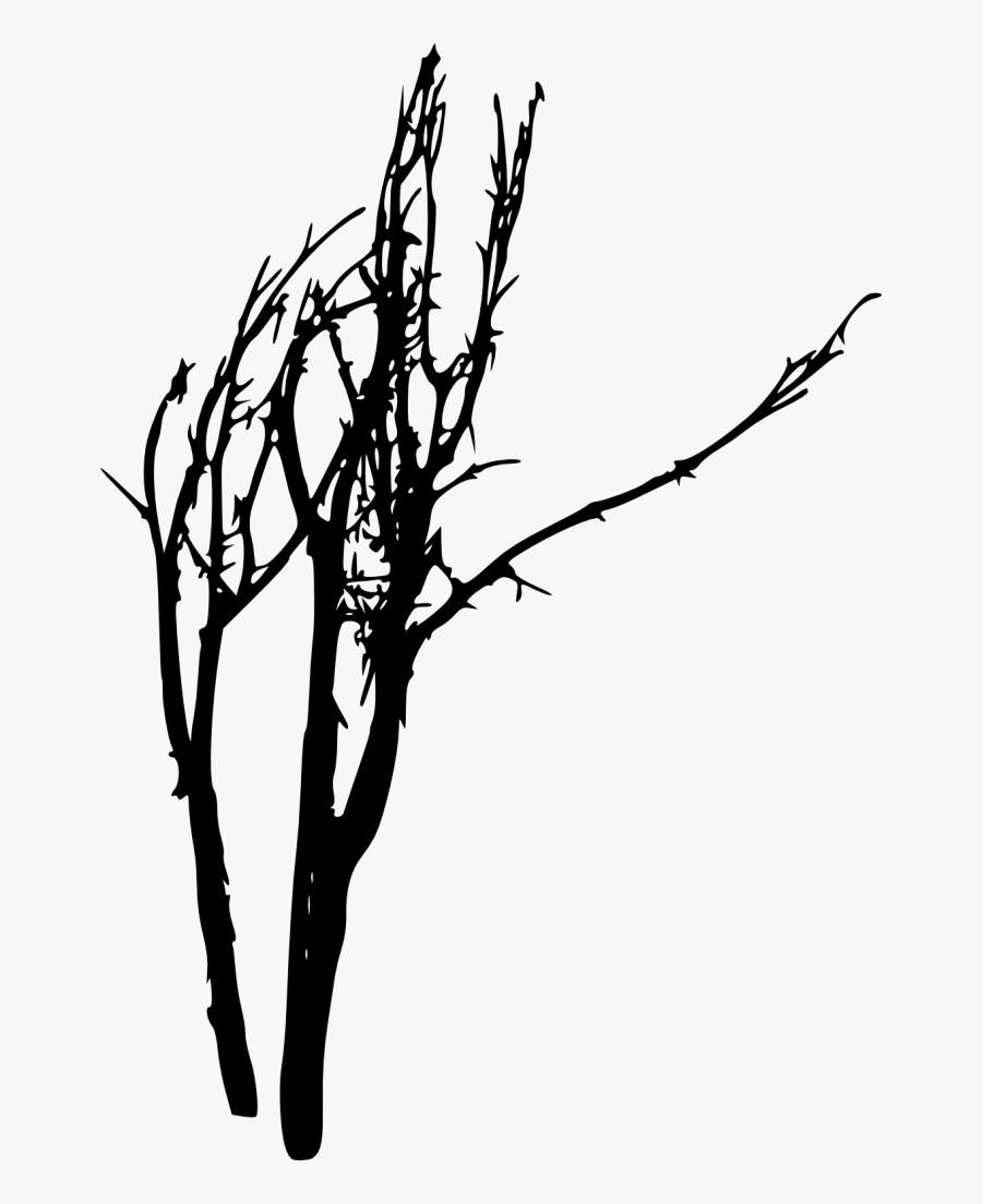Dead Tree Silhouette Clip Art At Getdrawings - Silhouette, Transparent Clipart
