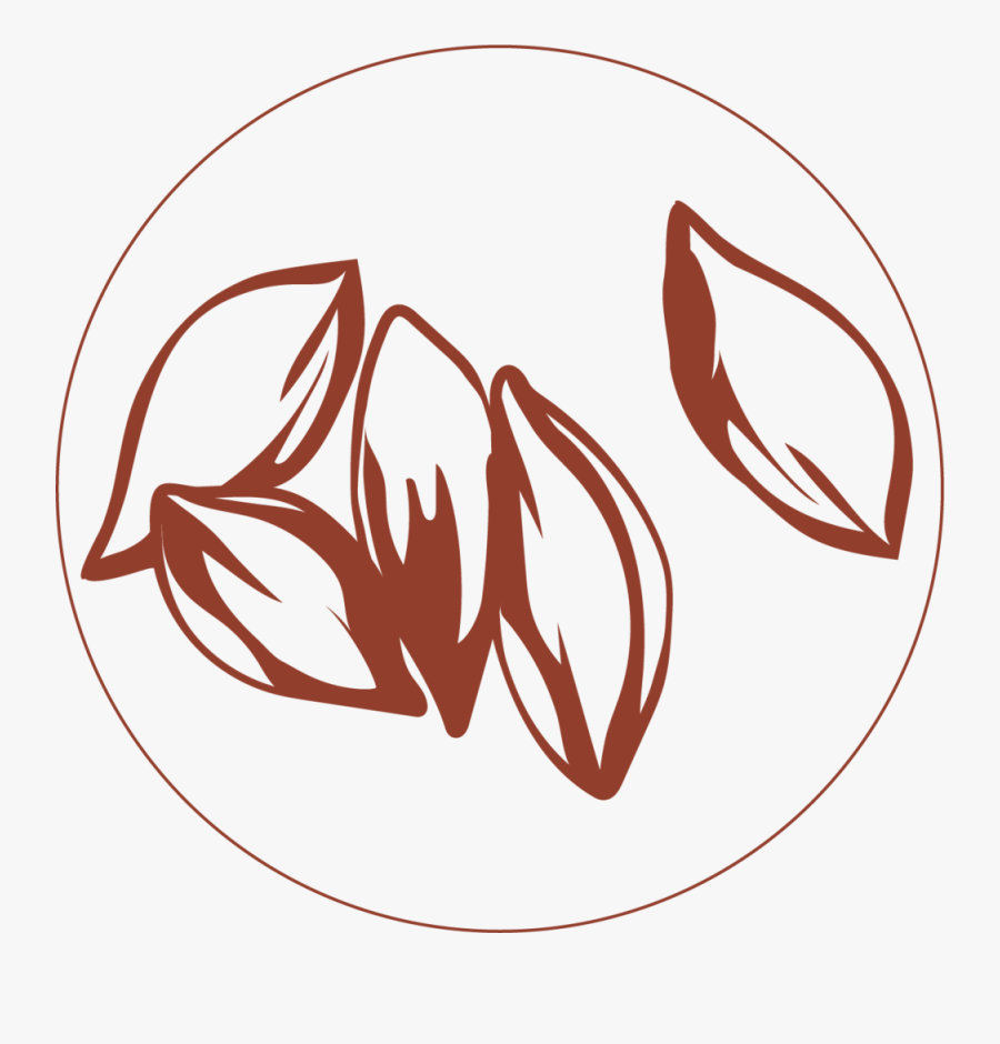 Dairy Free Yogurt Plant Based With Zero - Pili Clip Art, Transparent Clipart