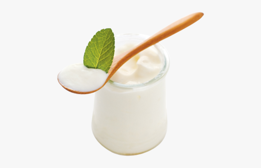 Yaourt Png - Tom And Jerry, Transparent Clipart