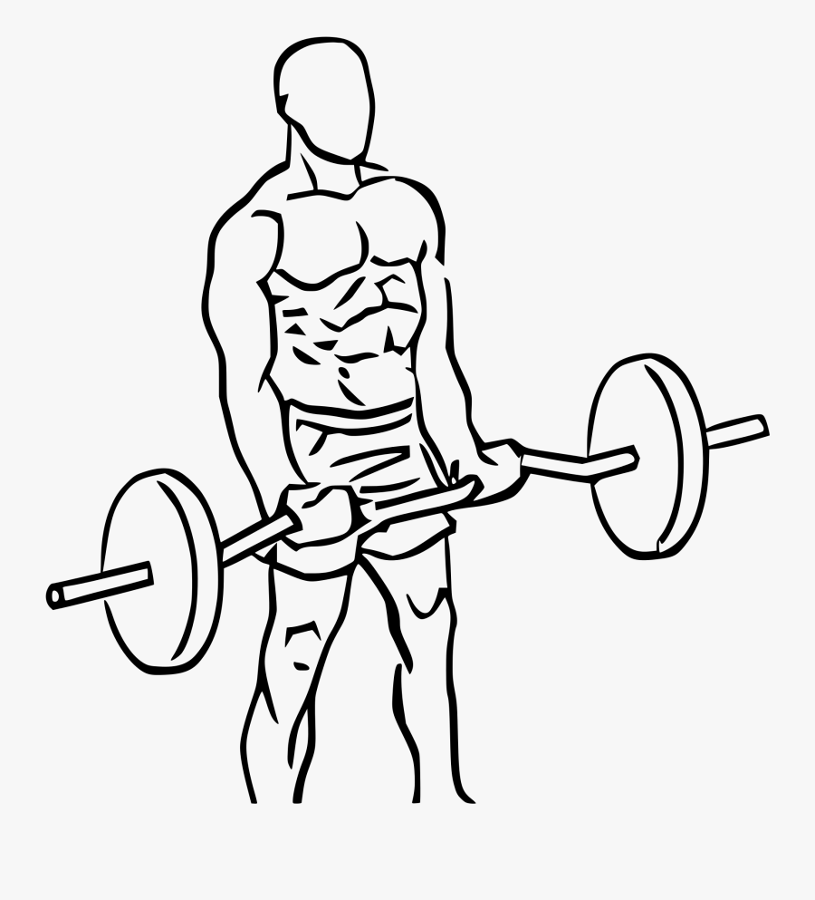 Deadlift Drawing Powerlifting Clip Art Freeuse Library - Cross Body Hammer Curl, Transparent Clipart