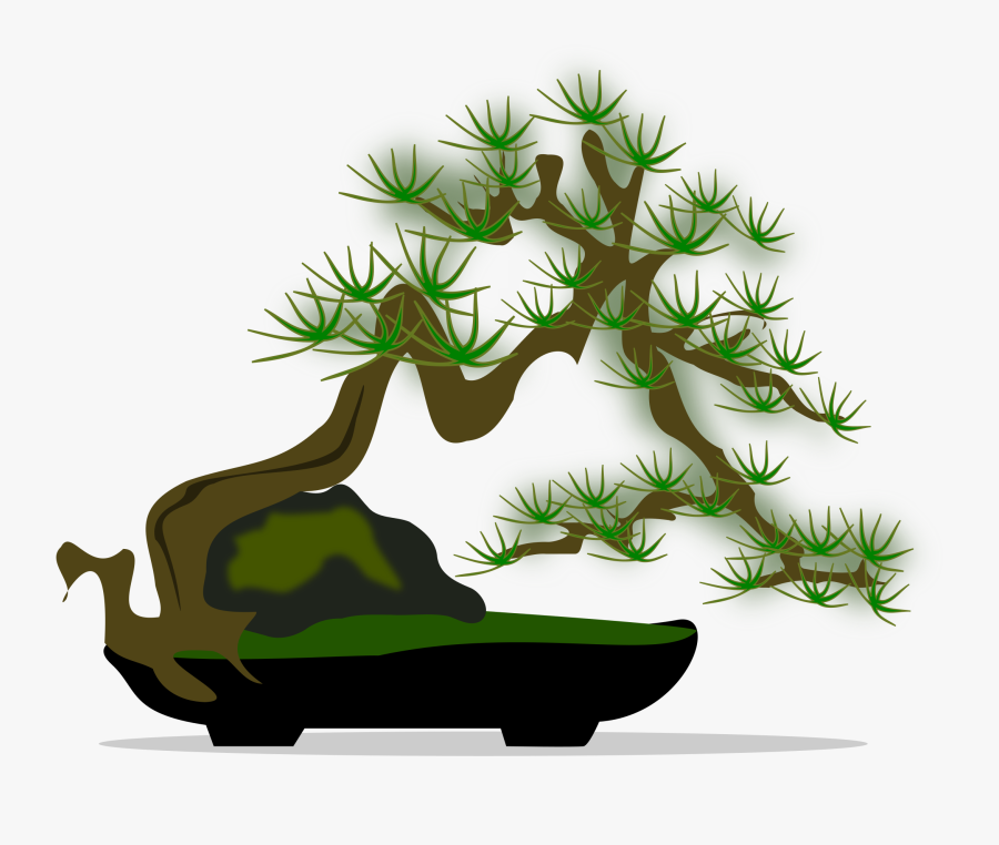 Transparent Bonsai Tree Png - Free Bonsai Clipart, Transparent Clipart