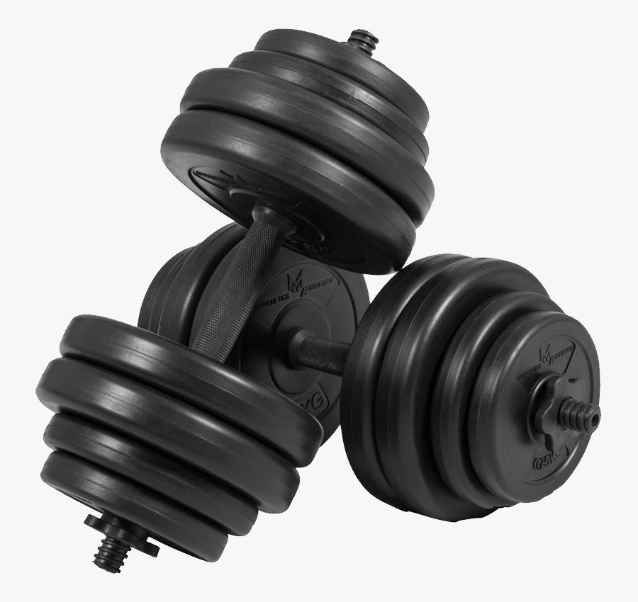 Transparent Hand Weights Clipart - Gym Dumbbell Png, Transparent Clipart