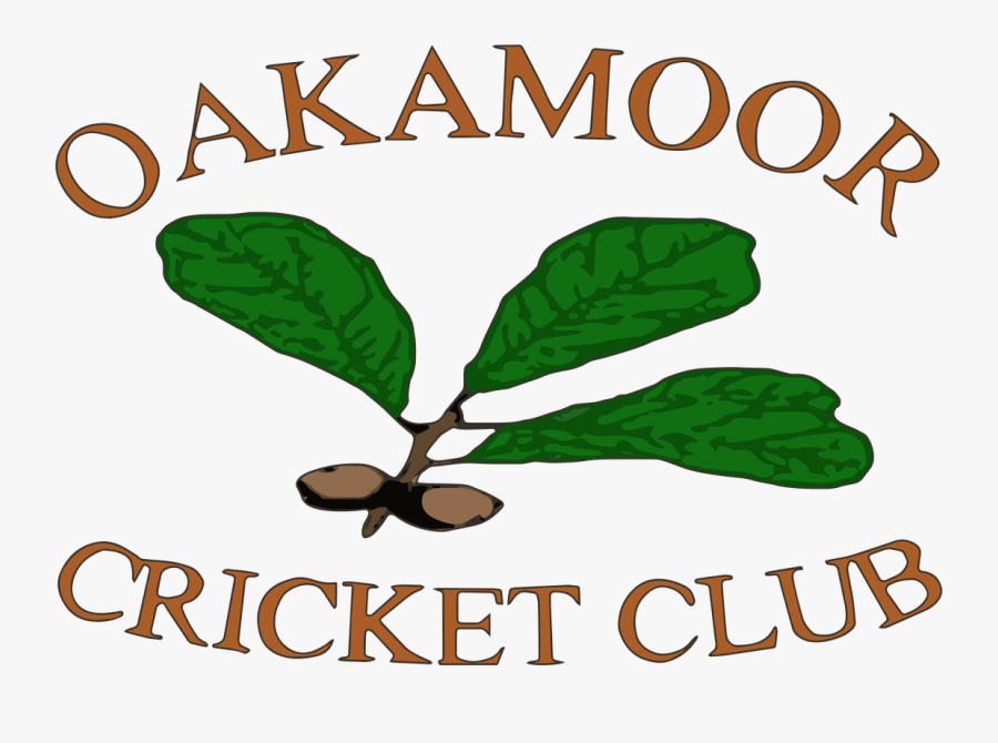 Picture, Transparent Clipart