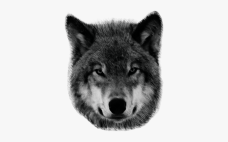 Lobo Png, Transparent Clipart
