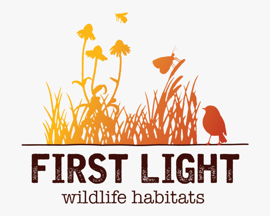 Great Seal Of The United, Transparent Clipart