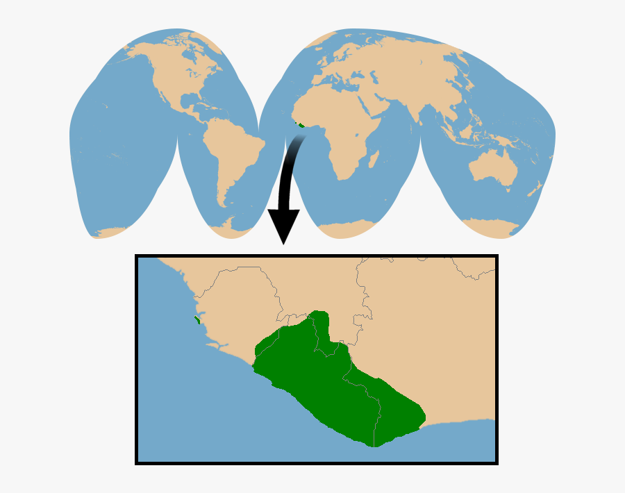 Does Zebra Duiker Live, Transparent Clipart