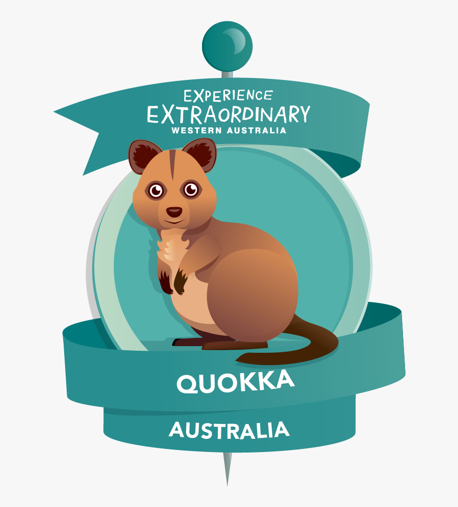 Transparent Quokka Png - Illustration, Transparent Clipart