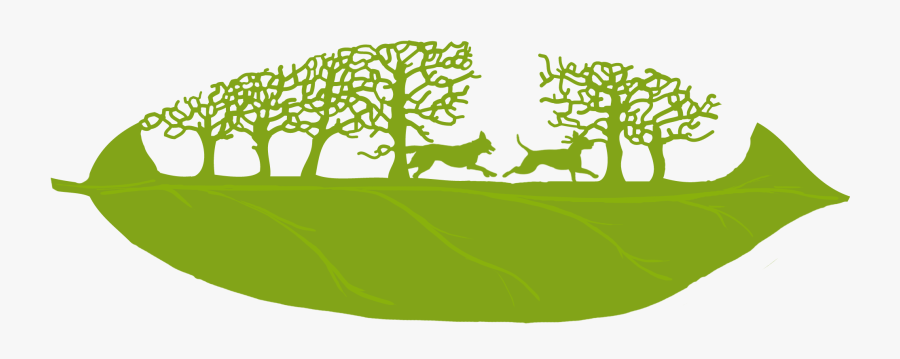 Lorenzo Duran, Transparent Clipart