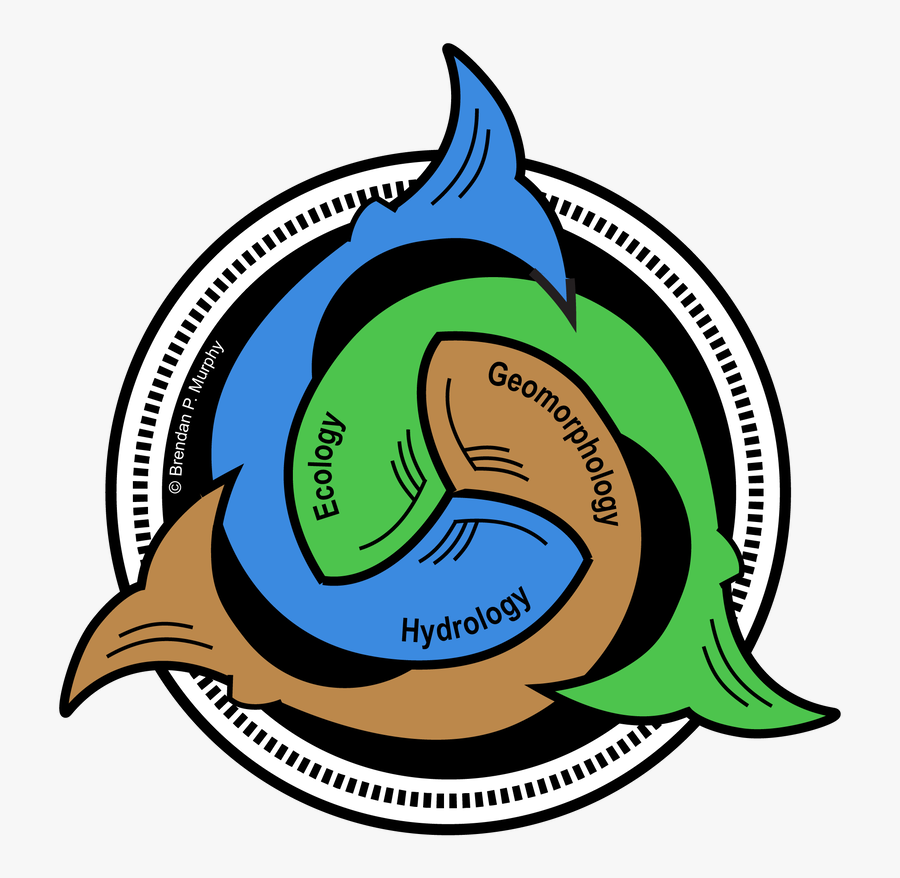 Picture, Transparent Clipart