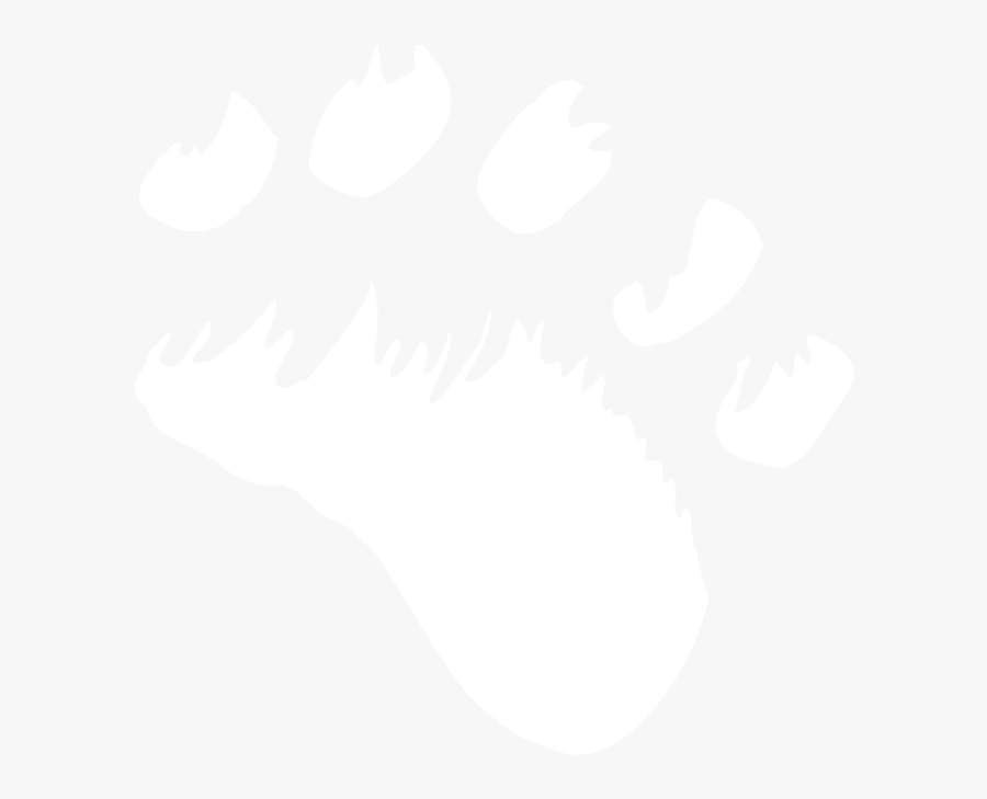 Cochrane Polar Bear Habitat, Transparent Clipart