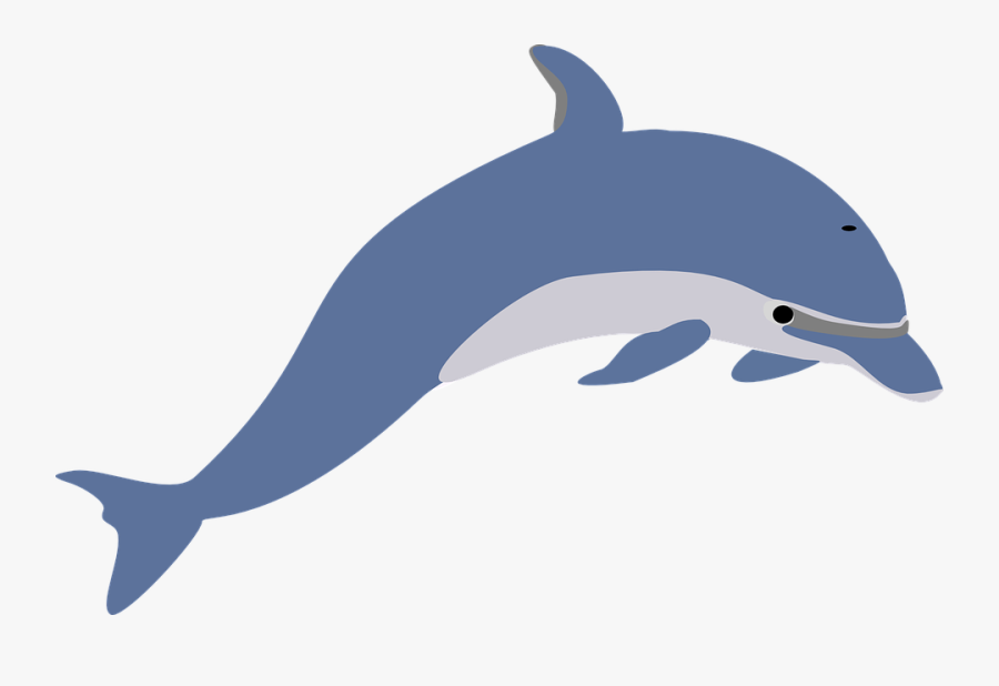 Dolphin, Leaping, Fish, Mammal, Sea Life, Blue - Dolphin Clipart, Transparent Clipart
