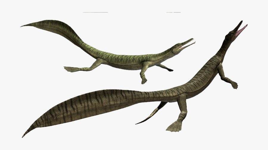 Mesosaurus Without Background Png, Transparent Clipart