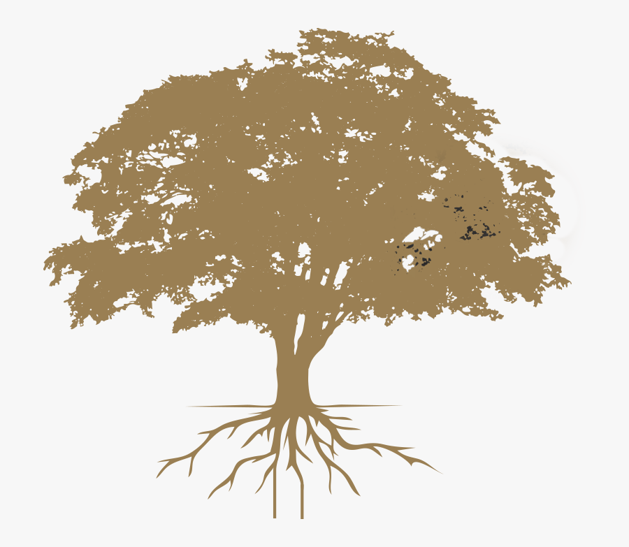 Minto Tree - Silhouette Of Oak Trees, Transparent Clipart