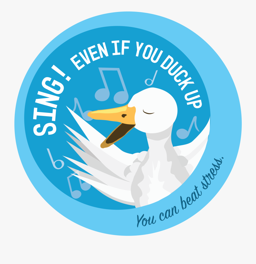 Duck, Transparent Clipart