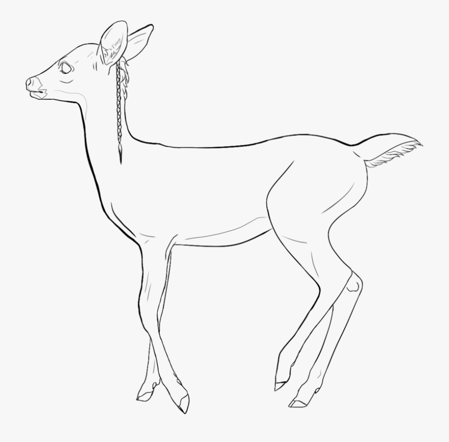 Dear Drawing Fawn - White-tailed Deer, Transparent Clipart