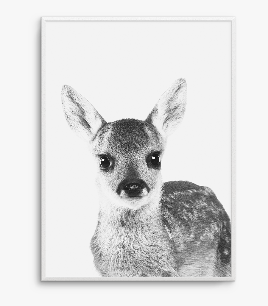 Clip Art B W Art Print - Fawn With White Background, Transparent Clipart