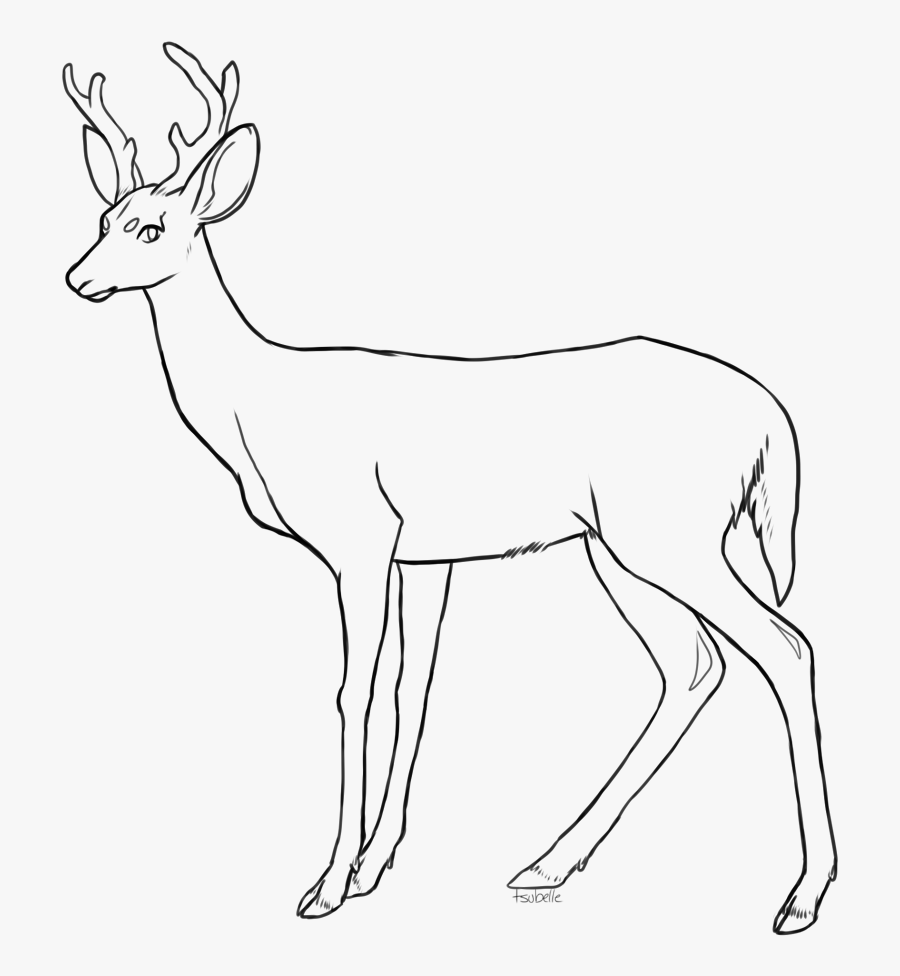 Collection Of Free Fawn Drawing Coloring Page Download - Free Deer Lineart, Transparent Clipart