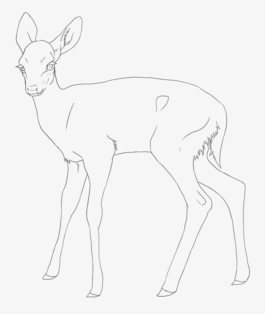 White-tailed Deer, Transparent Clipart