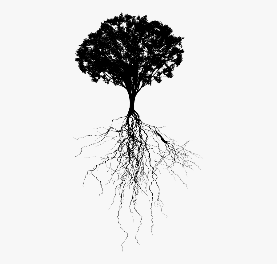Portable Network Graphics Clip Art Vector Graphics - Tree Roots Silhouette Png, Transparent Clipart