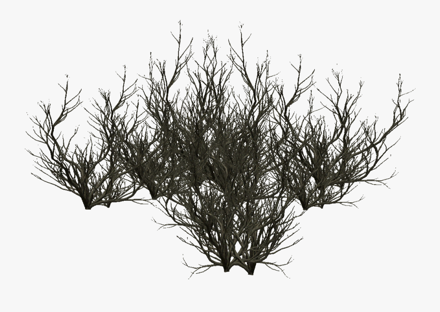 Transparent Tree With Roots Clipart Black And White - Silhouette, Transparent Clipart