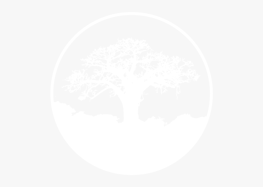 Baobab Media Ltd - Baobab Tree Black And White, Transparent Clipart