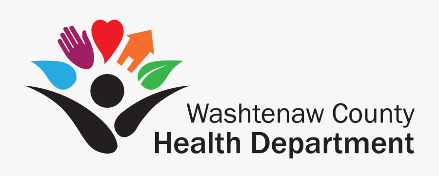 Graphic Design, Transparent Clipart